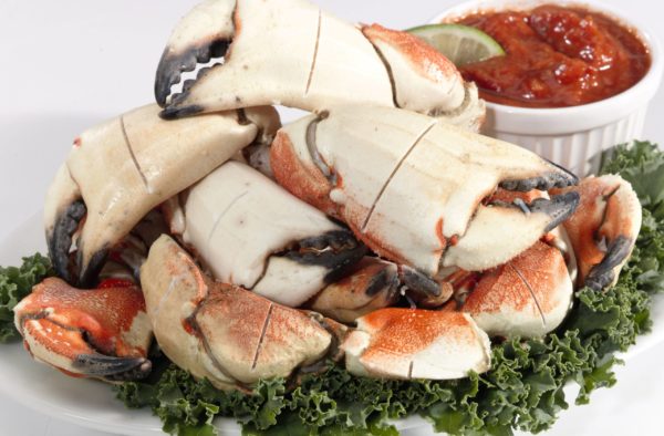 Triple Scored Maine Crab Claws and Arms (Frozen)