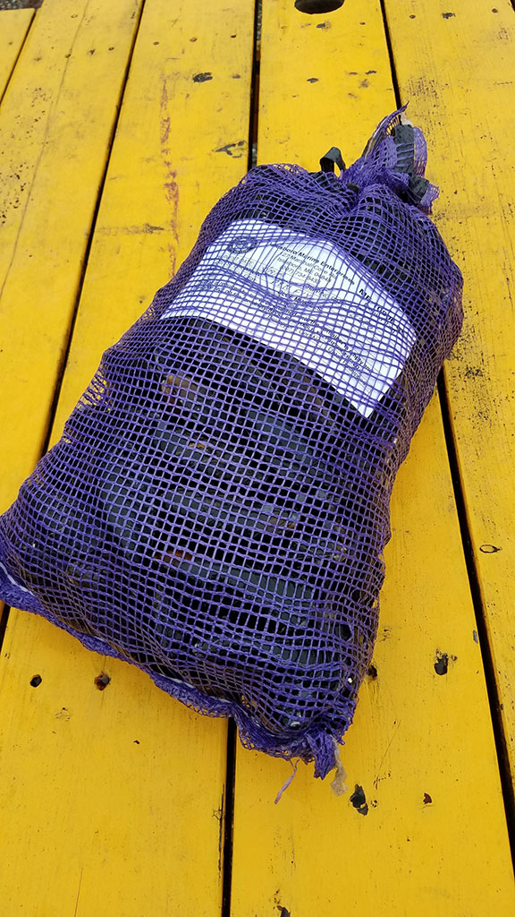 Mussels - 10 lb. Bag