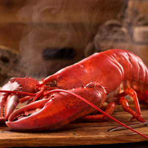 https://www.graffambroslobster.com/wp-content/uploads/2021/11/steamed-maine-lobster-1-300x300.jpg