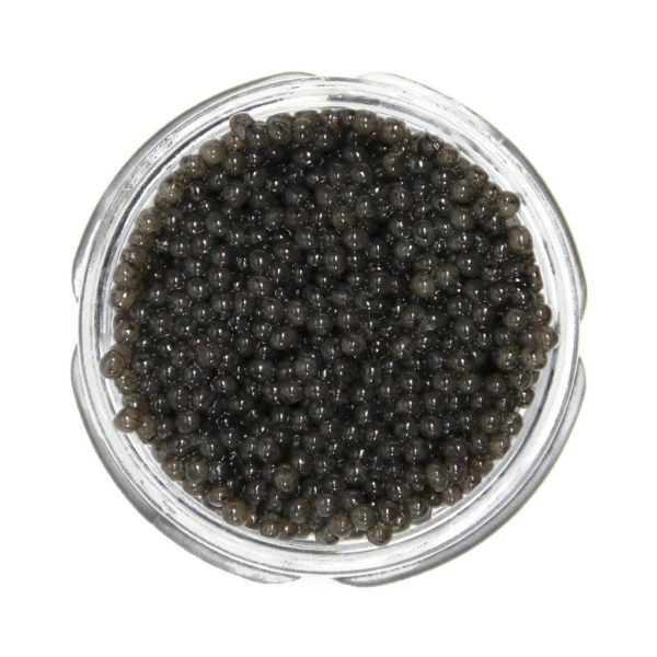American Paddlefish Caviar - 1oz