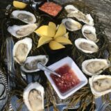 Oysters - Weskeag - Image 3